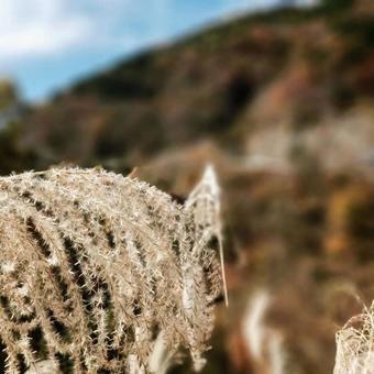 山は、そろそろ秋 山は、そろそろ秋の写真