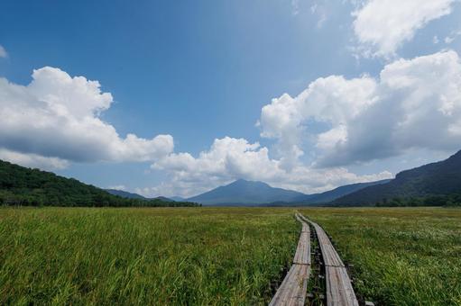 夏の尾瀬(木道) 夏の尾瀬(木道)の写真