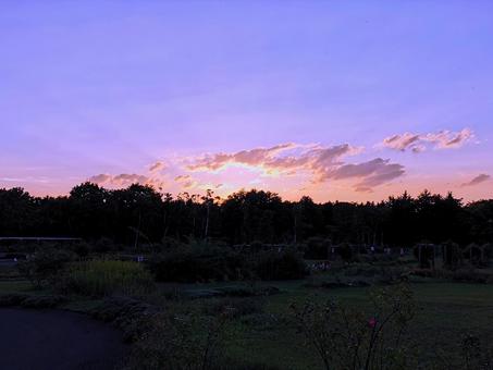 夕焼け 夕焼けの写真