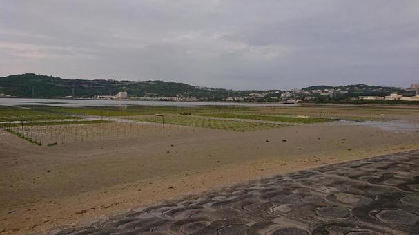 海辺 砂浜 海辺 砂浜の写真