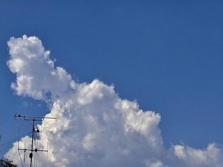 【風景写真】夏空 【風景写真】夏空の写真