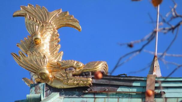 名古屋城　柿の実を食べる金のシャチホコ 名古屋城,尾張徳川家,御三家の写真素材
