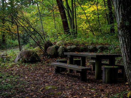 烏川渓谷緑地のベンチ ハイキング,山,森林の写真素材