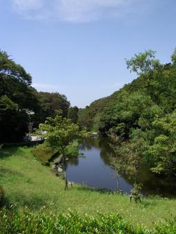 初夏の鎌倉中央公園・上池を望む 公園,自然,風景の写真素材