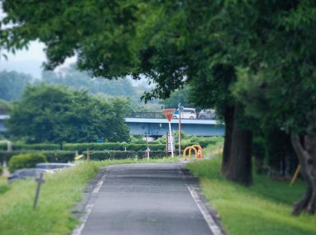 サイクリングロード サイクリングロード サイクリングロード,爽快,サイクリングの写真素材
