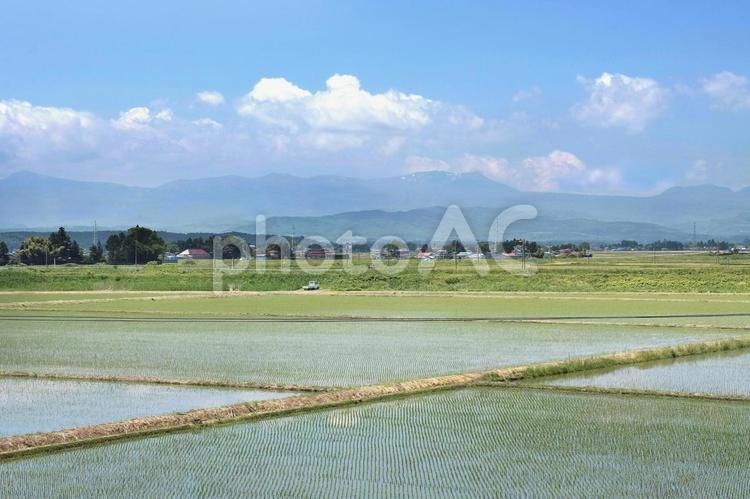 田園風景 田園風景,田園,田んぼの写真素材