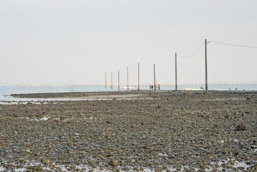 広大な干潟に立つ電柱と人々 干潟,潮干狩り,海の写真素材