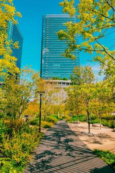 【大阪】大阪駅の街並み 大阪,梅田,タワーの写真素材