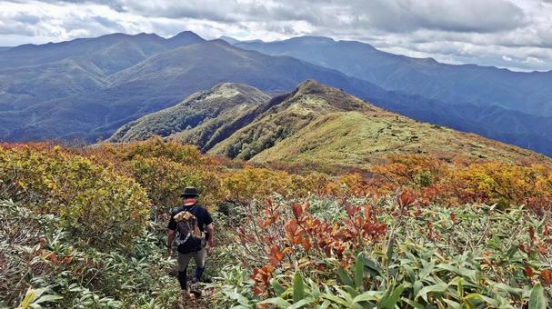 紅葉の縦走路を歩く登山者 紅葉の縦走路を歩く登山者 登山,縦走,登山者の写真素材