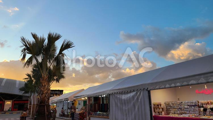 ヤシの木とテント　夕焼け空 テント,マーケット,ヤシの木の写真素材