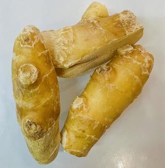 生姜 生姜 生姜,薬味,ジンジャーの写真素材