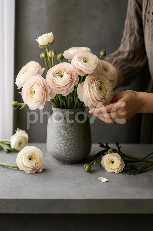 花を活ける静かな時間 花,ラナンキュラス,手の写真素材