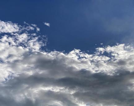 雨上がりの朝 雨上がりの朝の写真