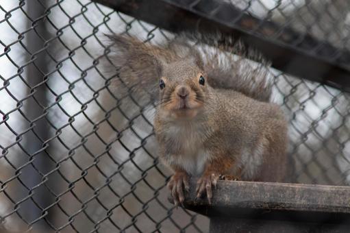 東京の動物園 東京の動物園の写真