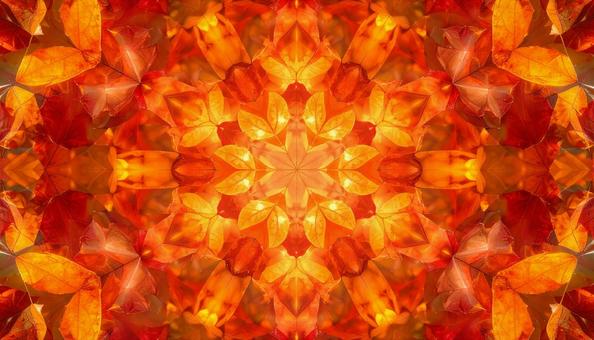 紅葉の輝き 万華鏡アート 紅葉の輝き 万華鏡アートの写真