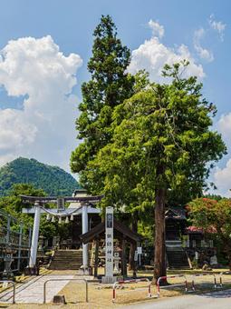 諏訪神社(群馬県下仁田町) 諏訪神社(群馬県下仁田町) 神社,諏訪神社,下仁田町の写真素材