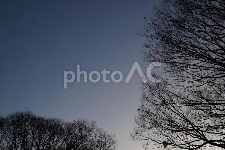 夕暮れ時の公園 夕暮れ,公園,景色の写真素材