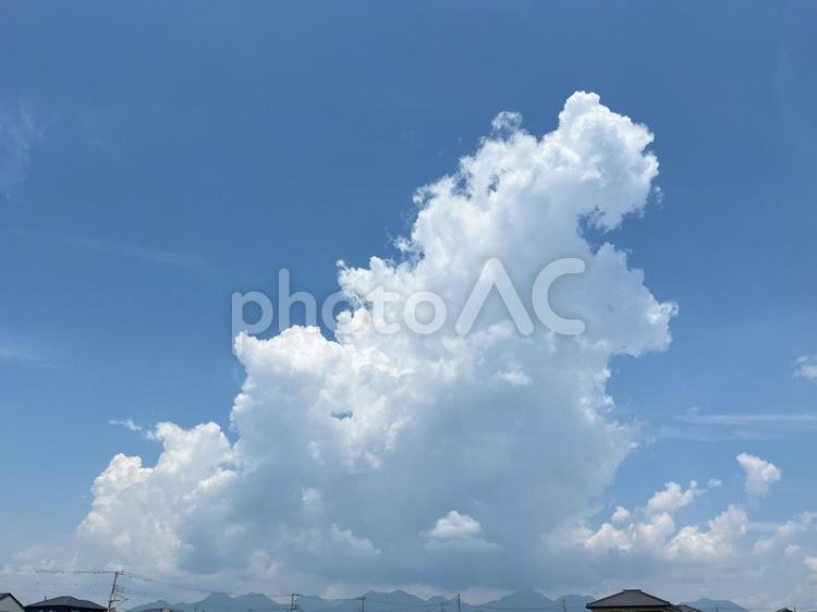 巨大な入道雲 入道雲,積乱雲,空の写真素材