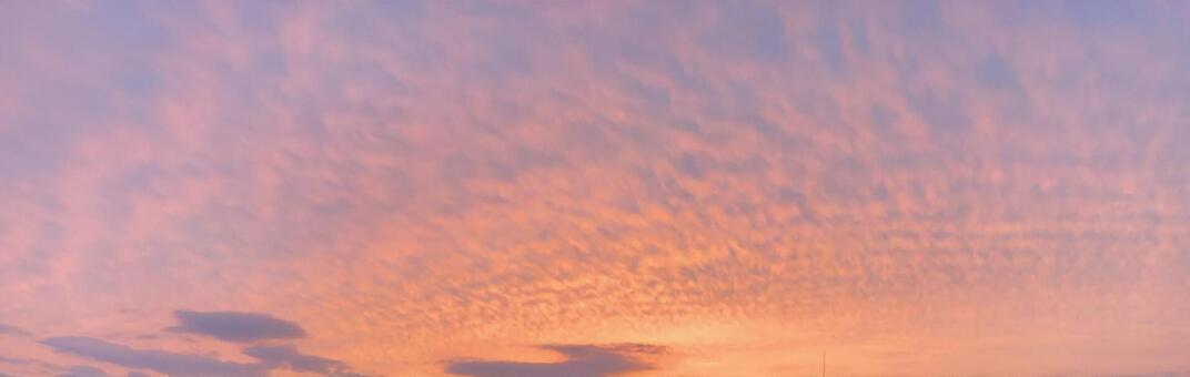 夕焼け 夕焼けの写真