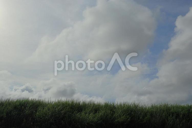 雲と草原 空,風景,草原の写真素材