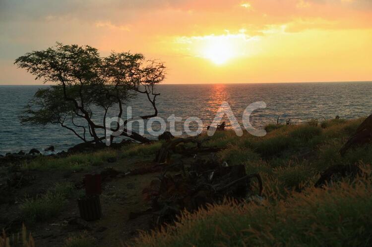 ハワイ島の夕日 ハワイ島の夕日,夕焼け,夕日の写真素材