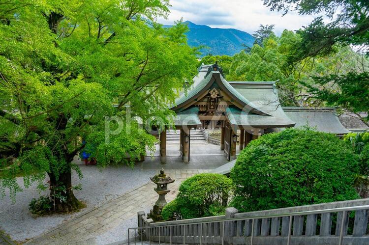 和霊神社の風景 和霊神社,宇和島市,愛媛県の写真素材