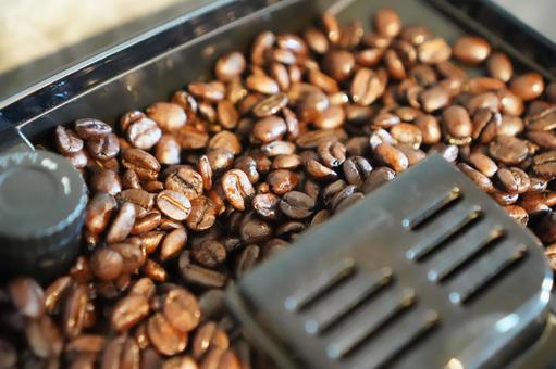 コーヒーメーカーに入ったコーヒー豆 コーヒーメーカーに入ったコーヒー豆 コーヒー,コーヒーメーカー,コーヒー豆の写真素材