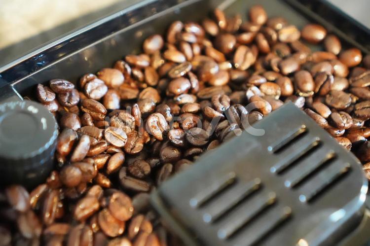 コーヒーメーカーに入ったコーヒー豆 コーヒー,コーヒーメーカー,コーヒー豆の写真素材