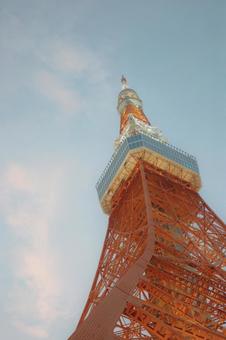 東京タワー 東京タワーの写真