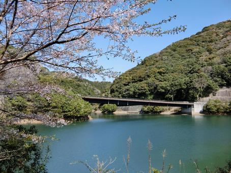 佐賀 武雄 繁昌ダム2 佐賀 武雄 繁昌ダム2 繁昌ダム,ダム,ダム湖の写真素材