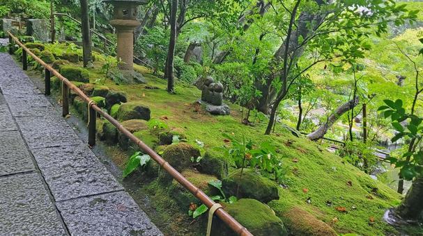 坂東33観音 04番 長谷寺 雨天の参道 坂東33観音 04番 長谷寺 雨天の参道 長谷寺,海光山,慈照院の写真素材