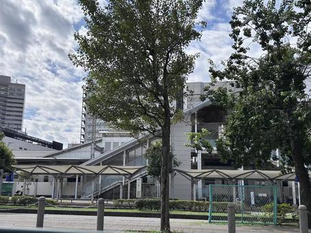 街路樹のある駅前風景／横 駅前,街並み,都市風景の写真素材