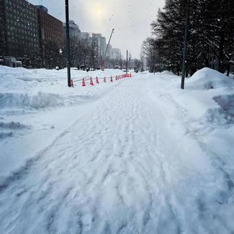雪景色 雪景色の写真