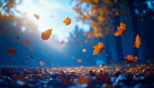 青い森に舞う紅葉と幻想的な光 青い森に舞う紅葉と幻想的な光の写真