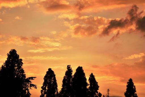 夕焼け_1 夕焼け_1の写真
