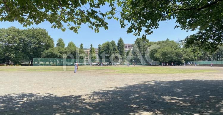 新緑のグラウンドと野球をする人たち グラウンド,新緑,野球の写真素材
