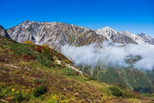 八方尾根の紅葉 八方尾根,長野,信州の写真素材