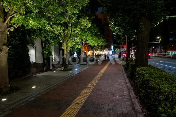 御茶ノ水　夜景 御茶ノ水,千代田区,東京の写真素材