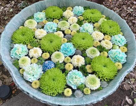 色鮮やかな花手水34 花手水,はなちょうず,手水舎の写真素材