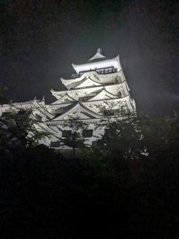 Photo, fukuyama castle (night), tag, fukuyama castle, 