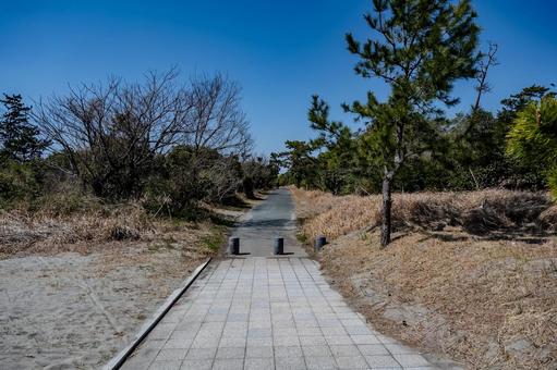 中田島砂丘周辺の景色 中田島砂丘周辺の景色の写真