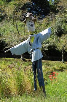 稲を守る案山子-4 稲を守る案山子-4の写真