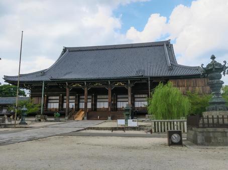 専修寺 御影堂 専修寺 御影堂の写真