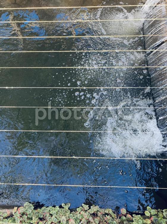 水面模様 水面,模様,川の写真素材