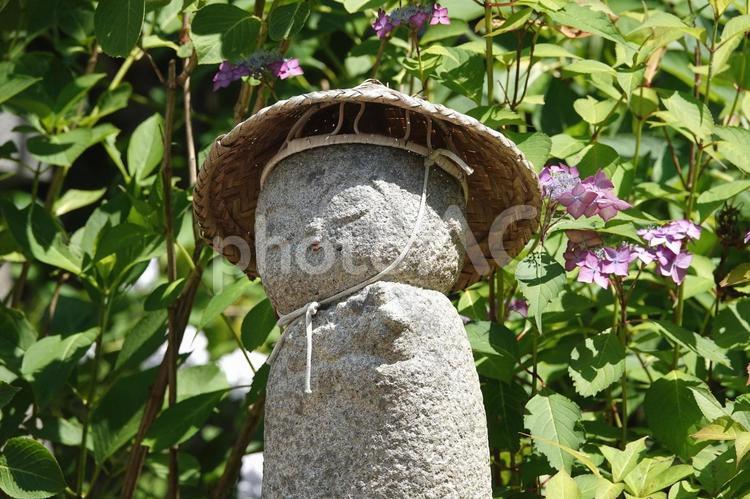 あじさいとお地蔵さん 植物,花,紫の花の写真素材