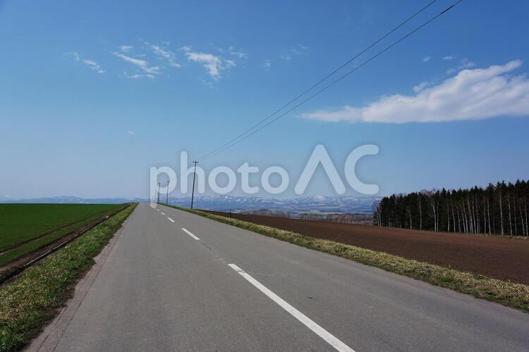 就実の丘の風景 就実の丘,一本道,道路の写真素材