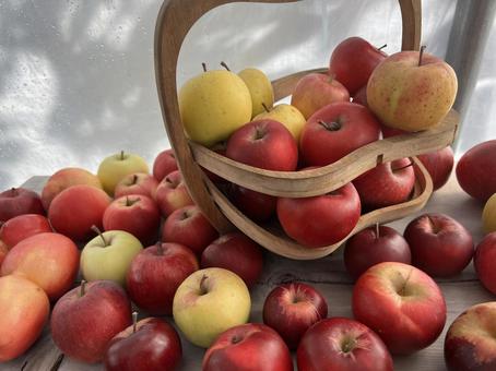 かごとりんご 果物,りんご,林檎の写真素材