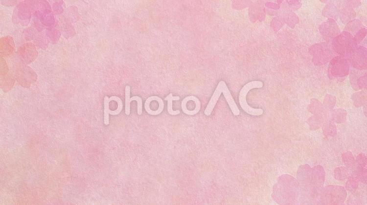 大人ピンクの桜の水彩背景素材 横長 和紙,桜,テクスチャの写真素材
