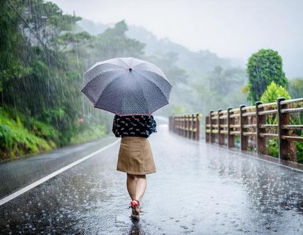 雨の日に傘をさして道路を歩く女性 雨の日に傘をさして道路を歩く女性の写真