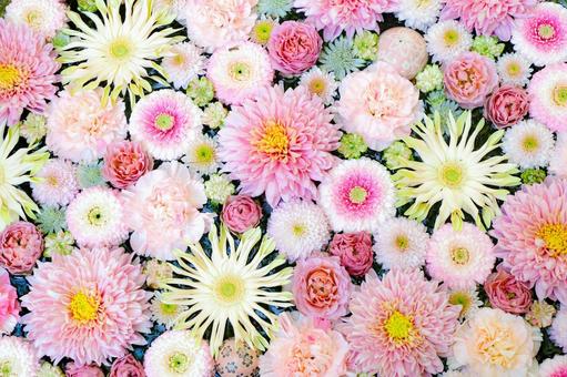 花手水 花手水,花,可愛いの写真素材